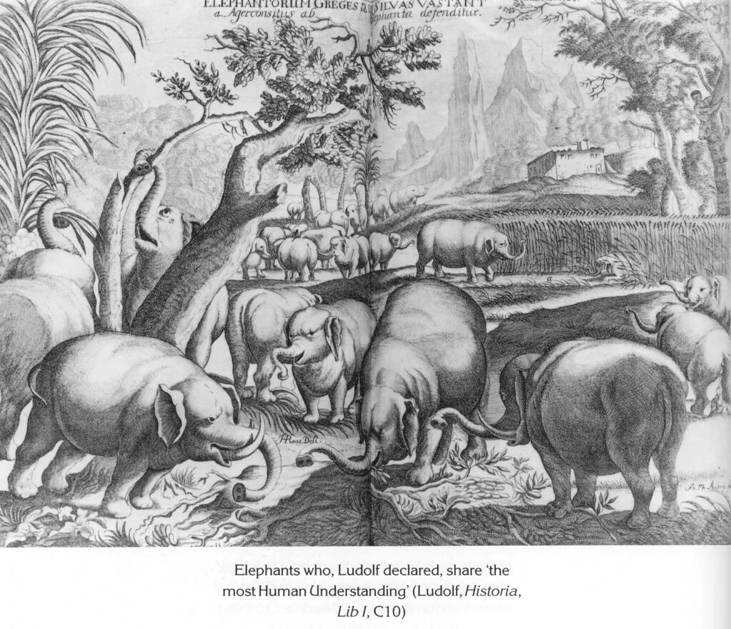 ELEPHANTORUM GREGES QUI SILVAS VASTANT a.. Agerconsitus ab.. Elephanta defenditur.