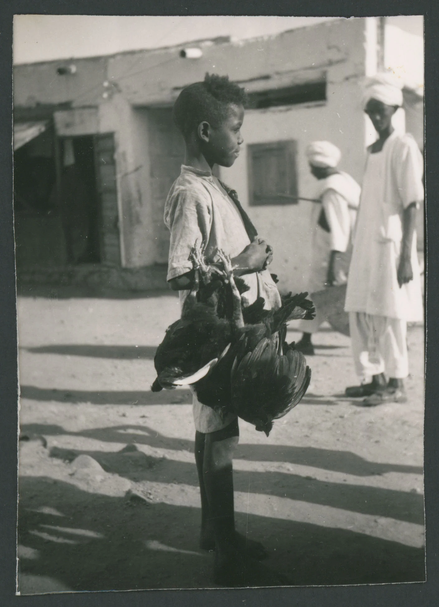 Bambino ad Asmara (Eritrea)
1 provino fotografico : gelatina a sviluppo
Titolo attribuito dal catalogatore, desunto da foto 173