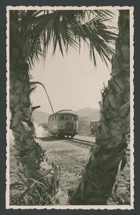 Littorina sulla ferrovia Cheren-Agordat in Eritrea con palme in primo piano 
1 cartolina fotografica : gelatina a sviluppo
Titolo ricavato da timbro sul verso 
Timbri sul verso: Edizioni Foto Lusvardi Asmara Ripsoduzione [i.e. riproduzione] vietata"; Eritrea - Ferrovia Cheren - Agordat