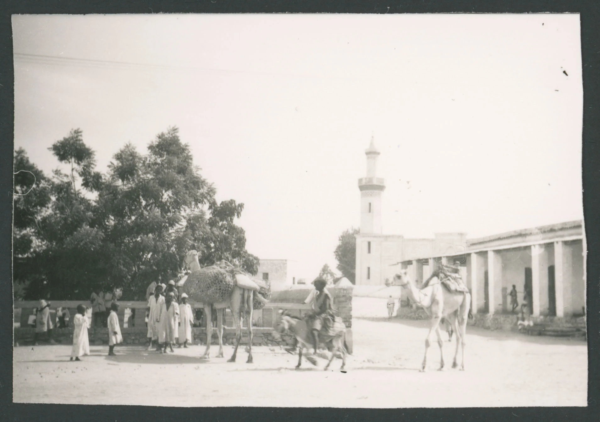 Gruppo di persone ed animali vicino ad un minareto ad Agordat in Eritrea
1 provino fotografico : gelatina a sviluppo
Titolo attribuito dal catalogatore, desunto da foto 304