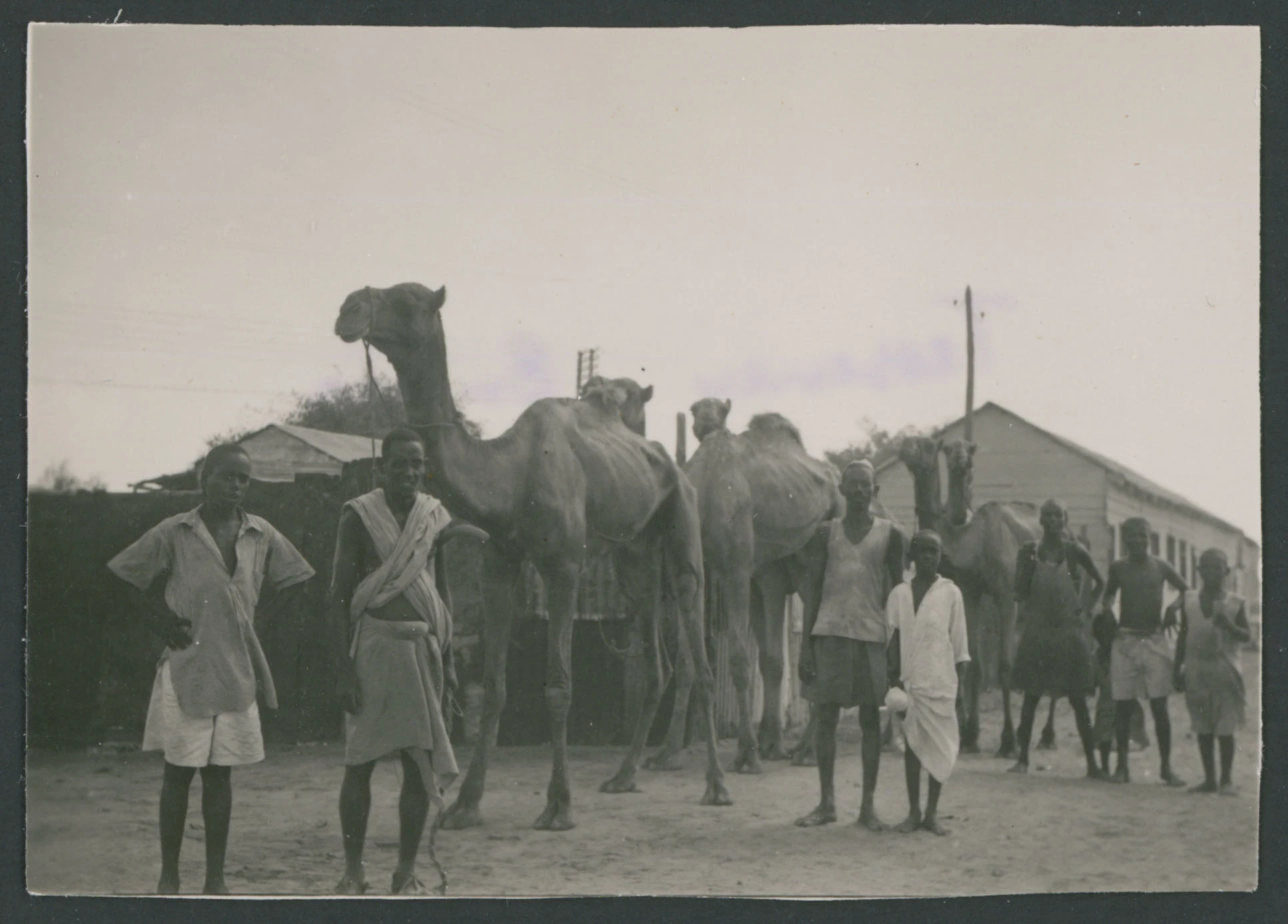 Uomini e dromedari a Tessenei in Eritrea
1 provino fotografico : gelatina a sviluppo
Titolo attribuito dal catalogatore, desunto da foto 228
