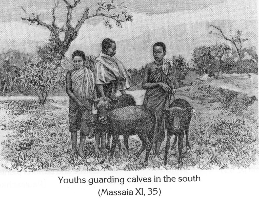 Youths guarding calves in the south