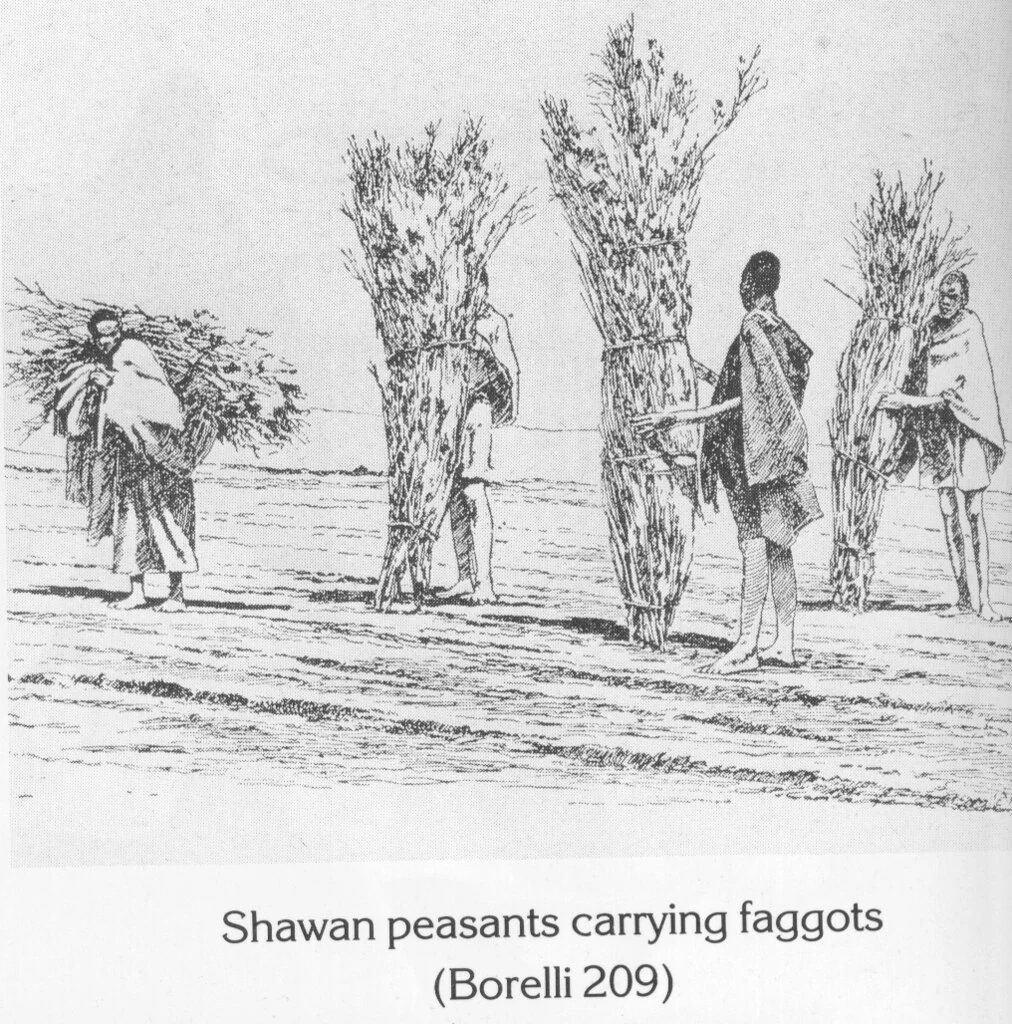 Shawan peasants carrying faggots (Borelli 209)