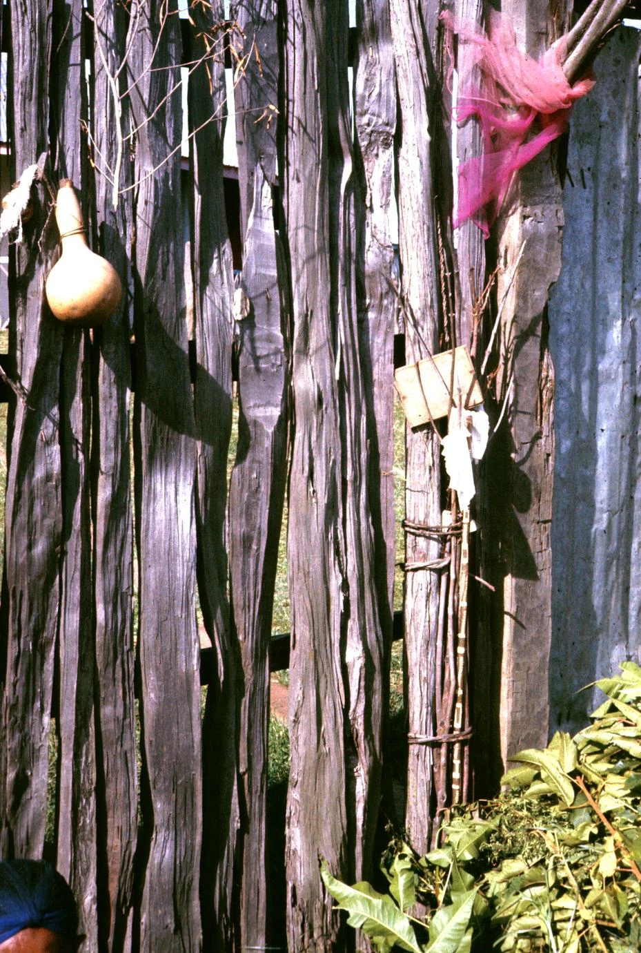 Offerings Brought to the Spirits