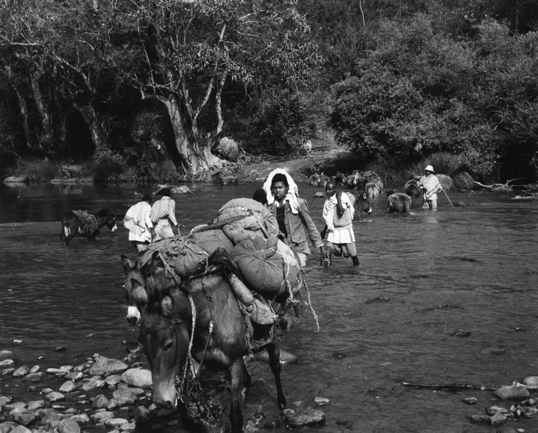 Merchants Fording the River with Donkeys