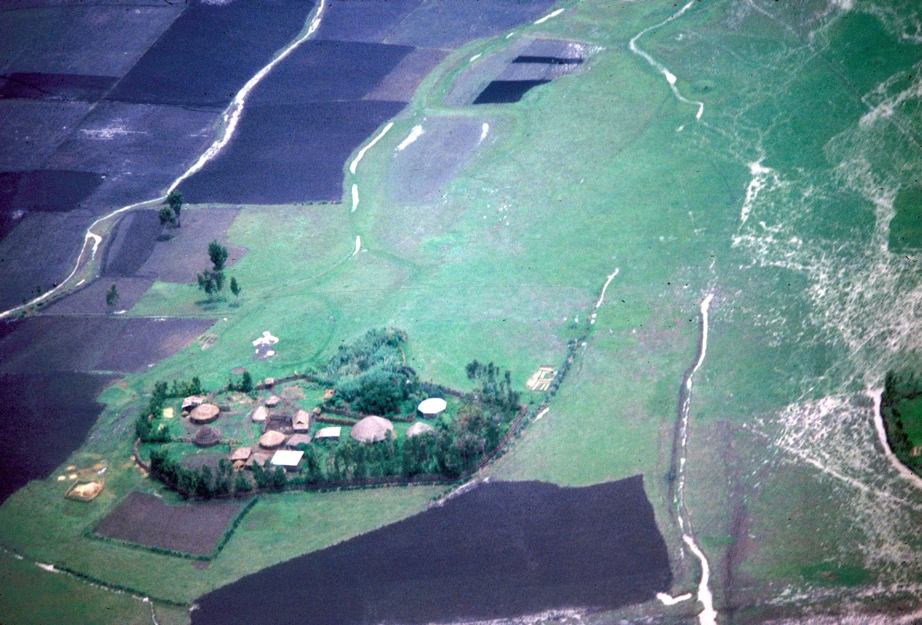 Aerial View of Compound of a Wealthy Person