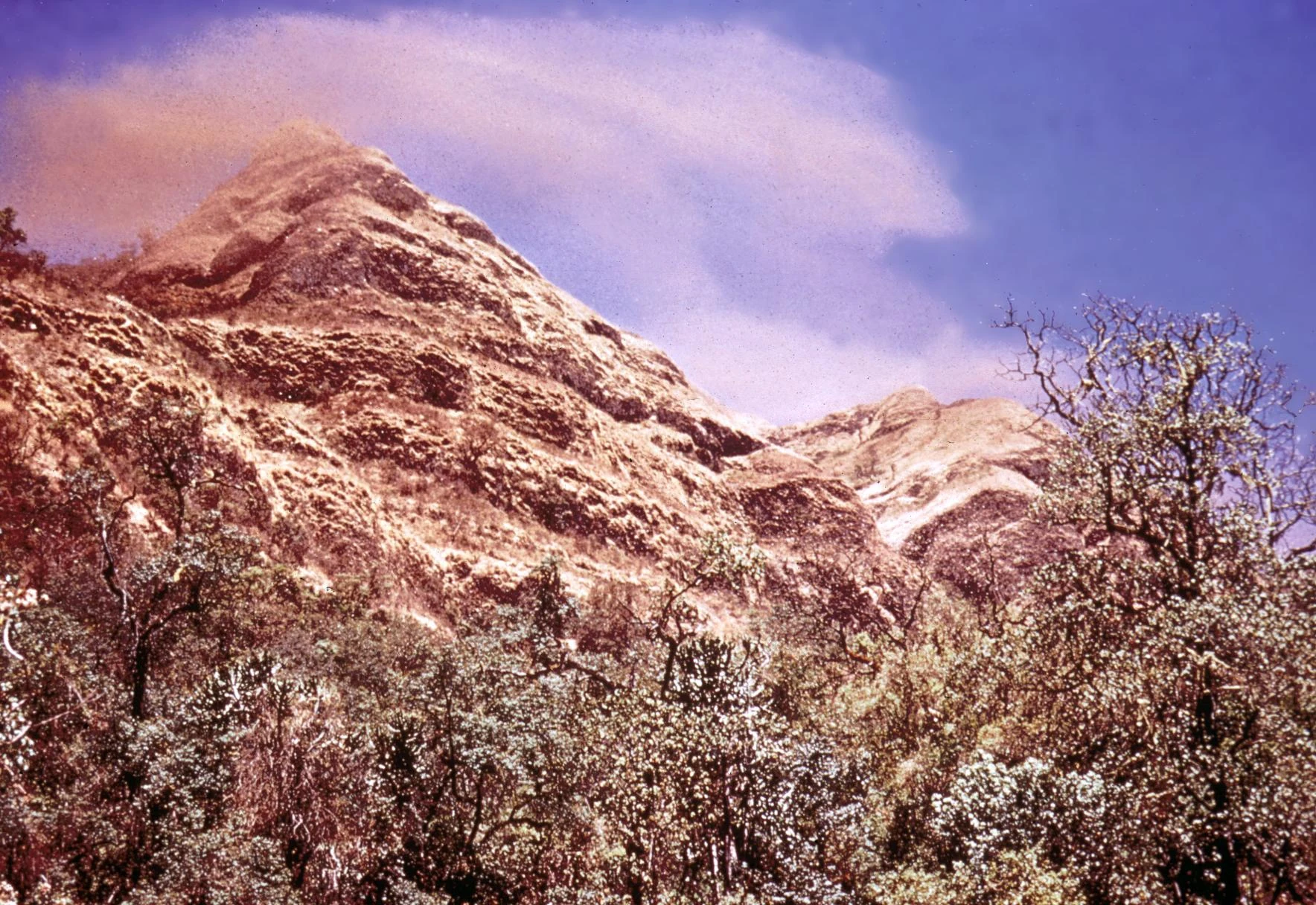 Locust Swarm over Gara Mulatta Mountain
