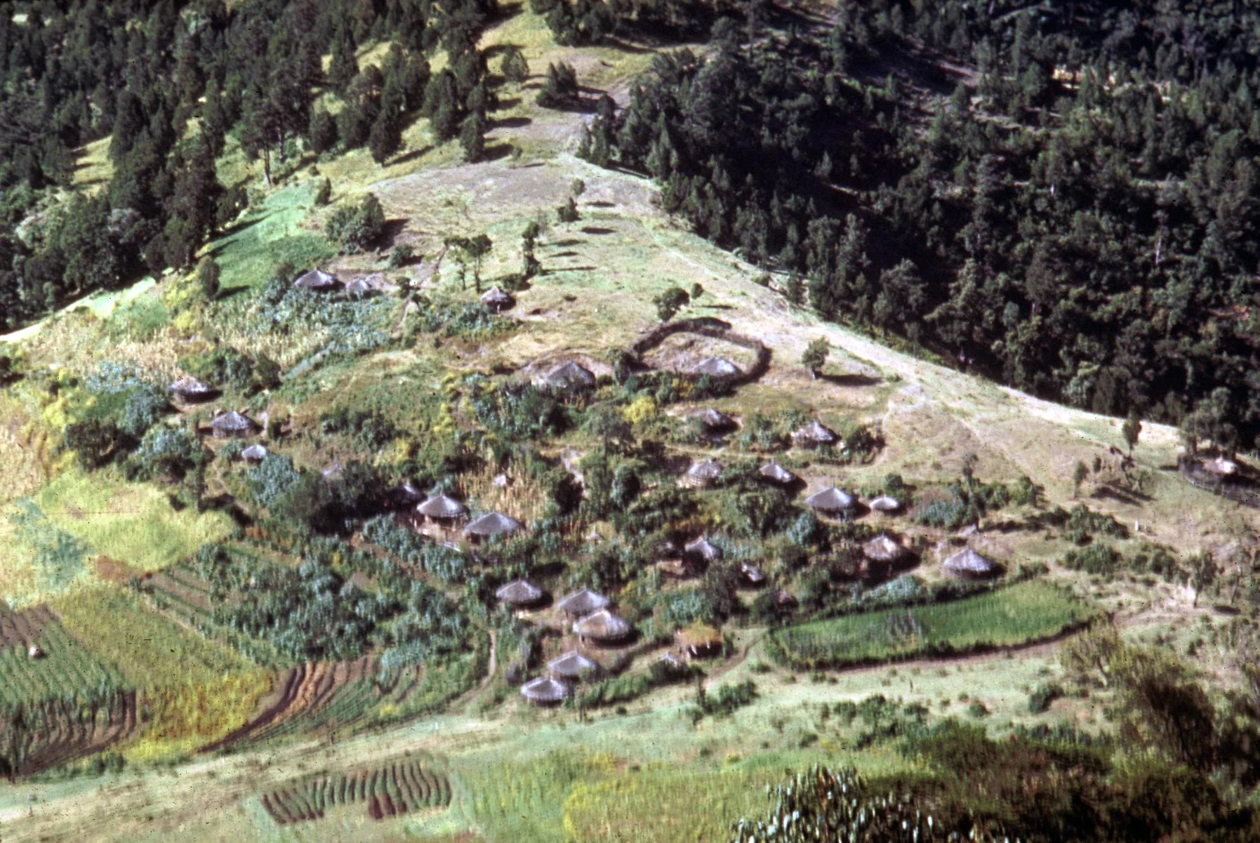 Aerial View of High Plateau Village