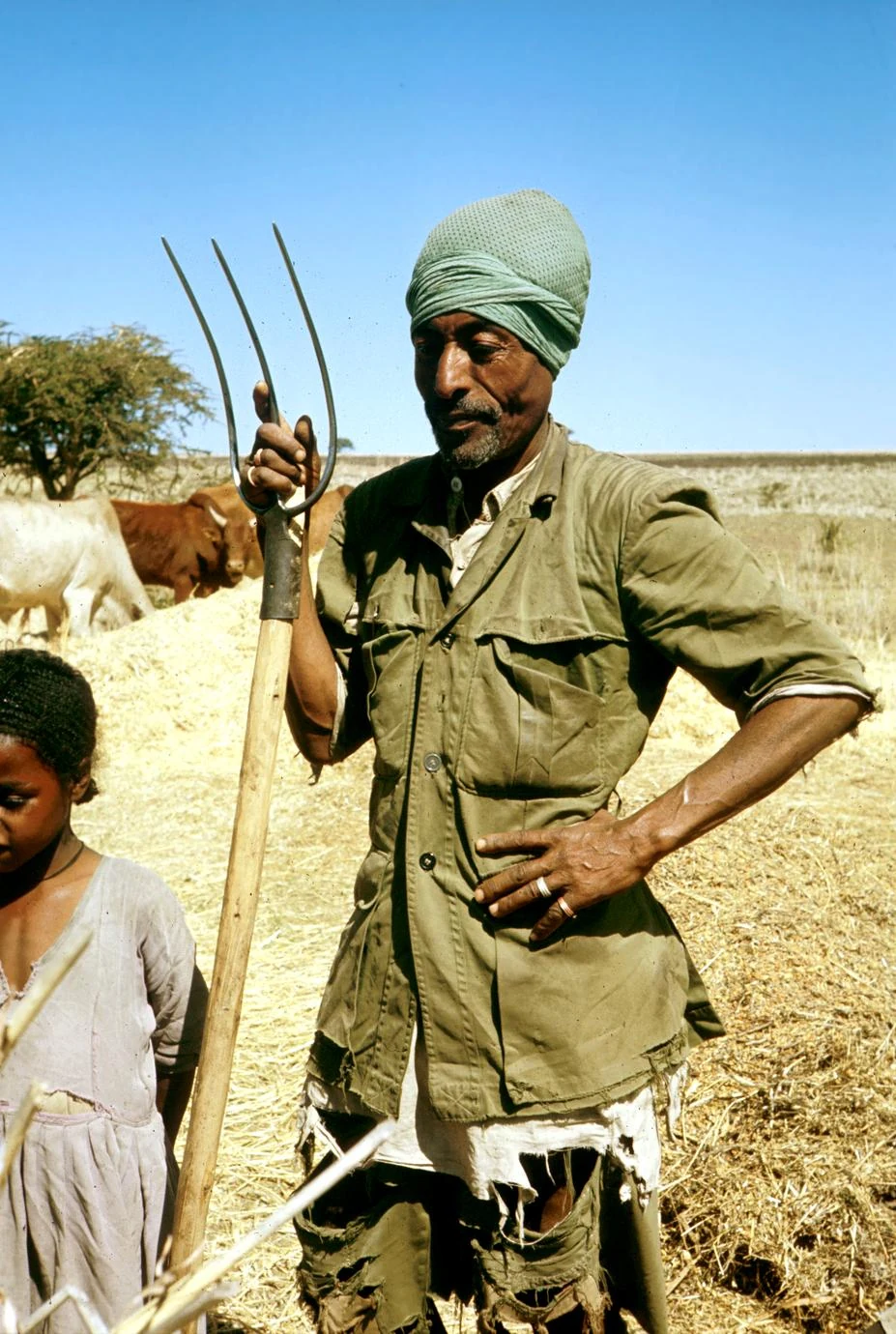 Farmer at Grain Harvest