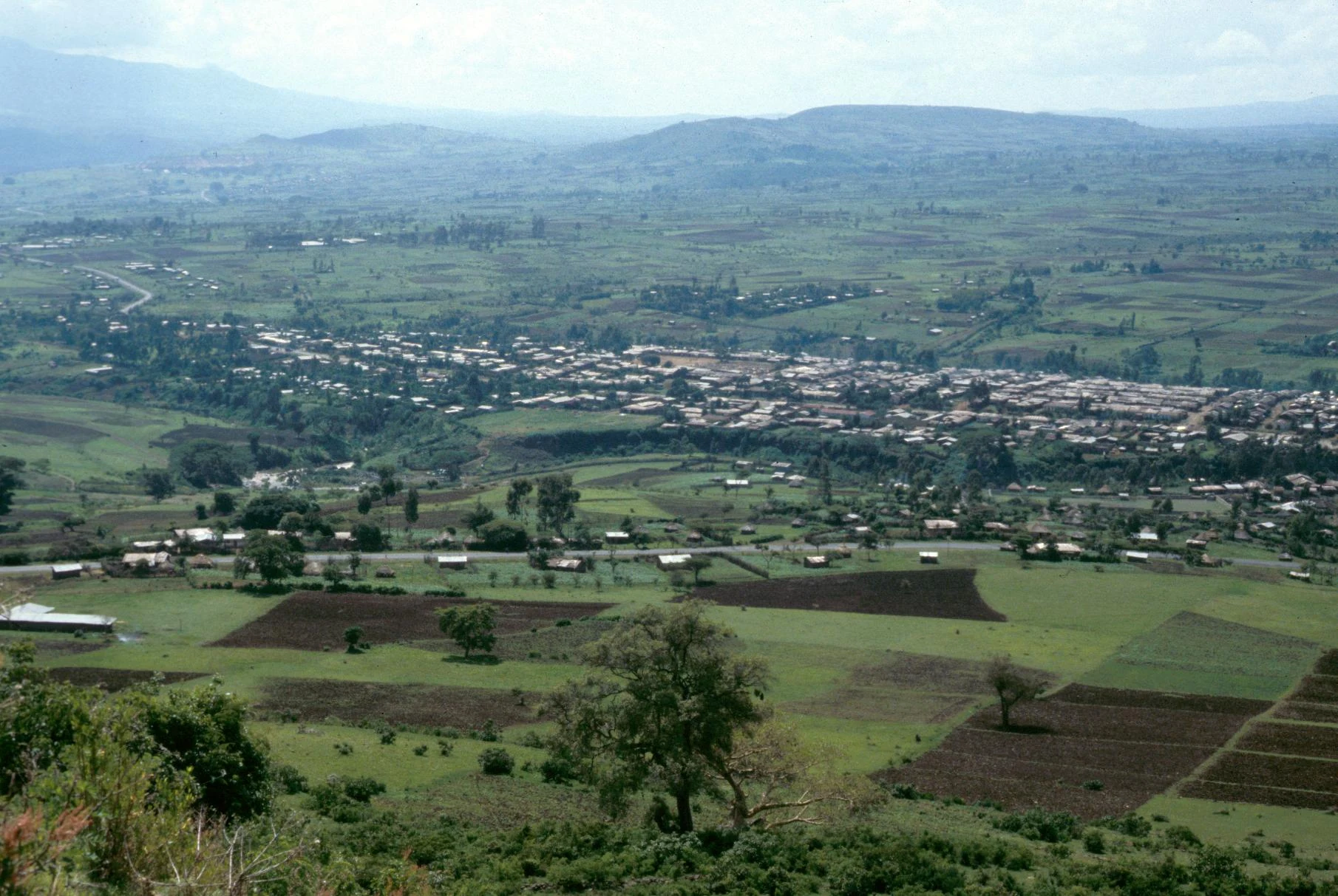 New Residential Development Along Major Road