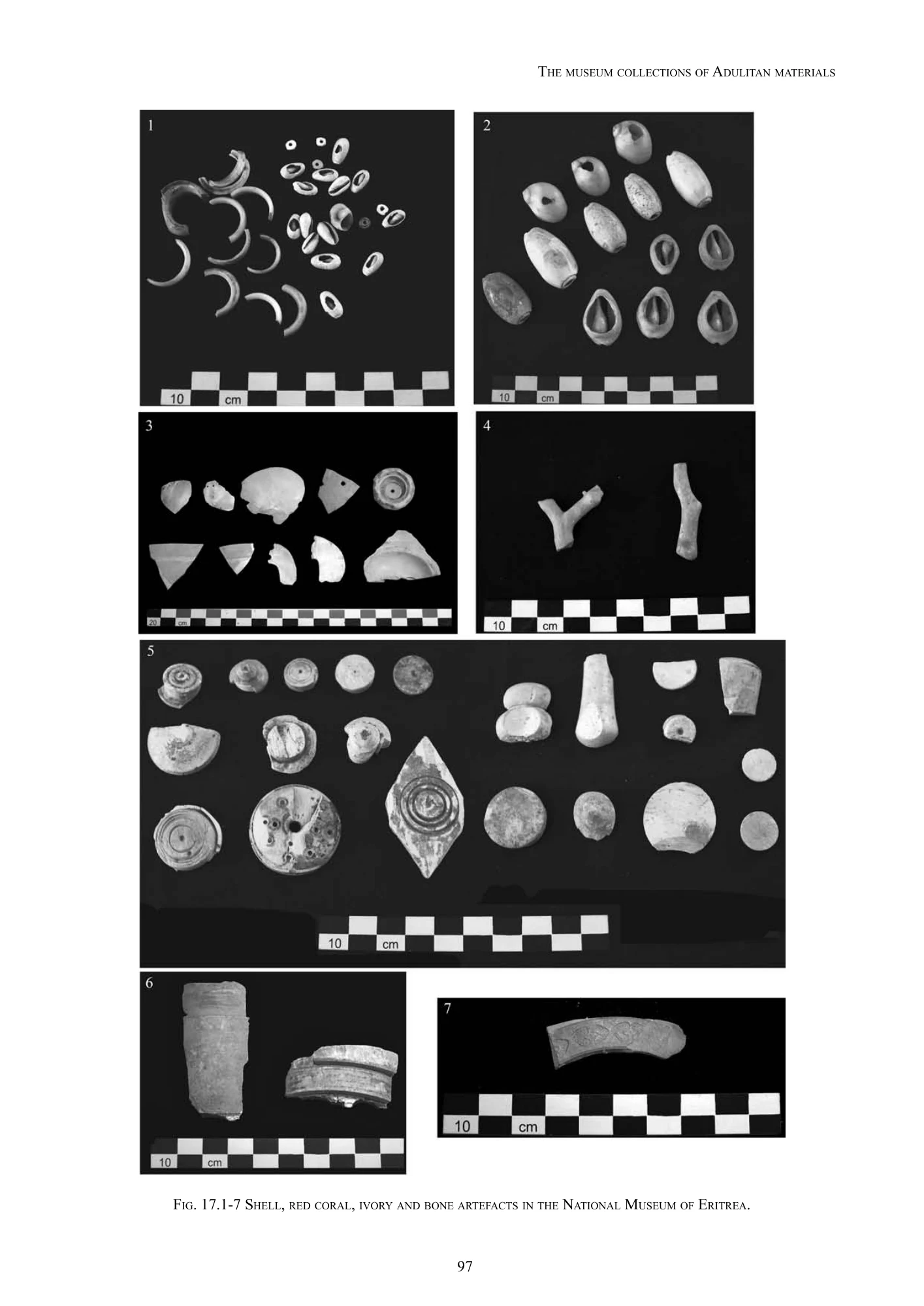 The Ancient Red Sea Port of Adulis and the Eritrean Coastal Region: Previous investigations and museum collections — illustrated page 110