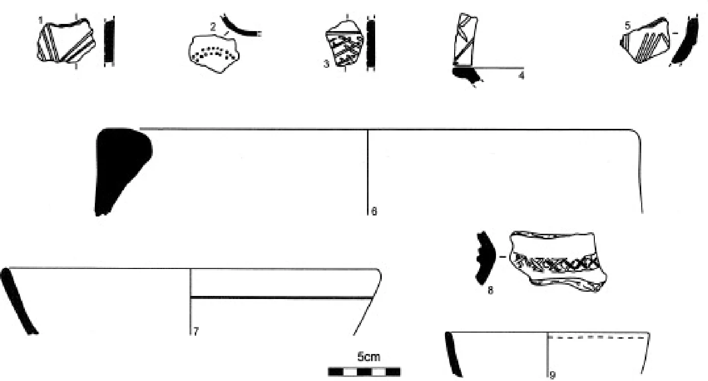 The Ancient Red Sea Port of Adulis, Eritrea: Results of the Eritro-British Expedition, 2004-5 — illustration 1, PDF page 147