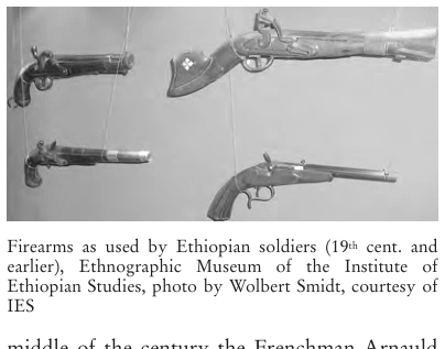 Illustration, Encyclopaedia Aethiopica volume 2, PDF page 583
