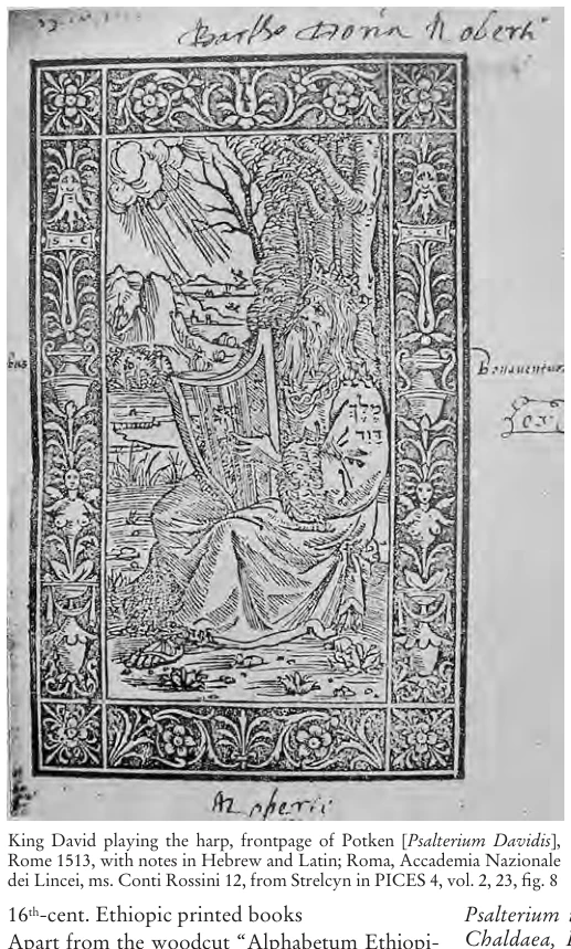 Illustration, Encyclopaedia Aethiopica volume 3, PDF page 164