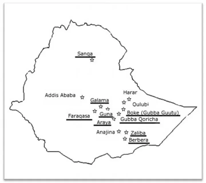 Muslim Ethiopia: The Christian Legacy, Identity Politics, and Islamic Reformism — illustration 1, PDF page 101