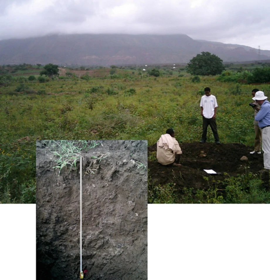 Geo-trekking in Ethiopia's Tropical Mountains: The Dogu'a Tembien District — illustration 1, PDF page 374