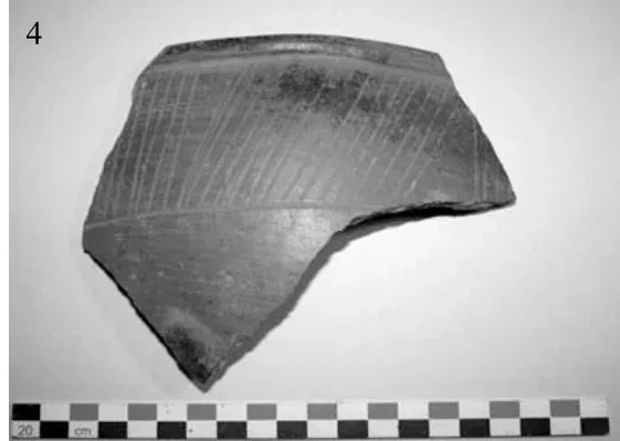 The Ancient Red Sea Port of Adulis and the Eritrean Coastal Region: Previous investigations and museum collections — illustration 4, PDF page 49