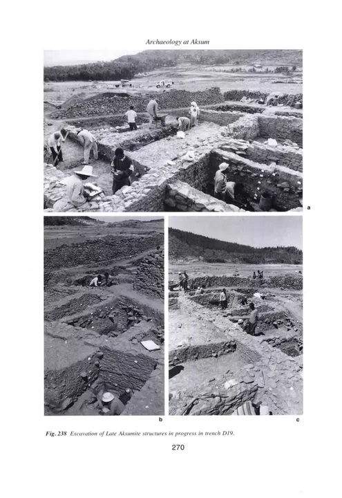 Archaeology at Aksum, Ethiopia, 1993-7, Volume II — illustrated page 17