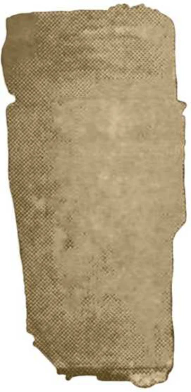 Modeling the Local Political Economy of Adulis: 1000 BCE - 700 ACE — illustration 3, PDF page 320