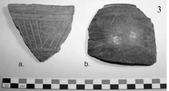 The Ancient Red Sea Port of Adulis and the Eritrean Coastal Region: Previous investigations and museum collections — illustration 3, PDF page 49
