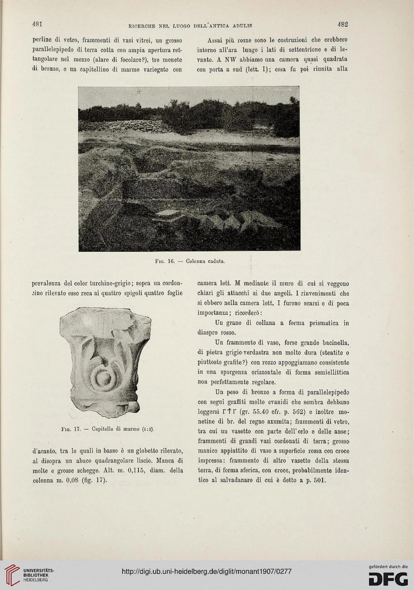 Ricerche nel luogo dell'antica Adulis (Colonia Eritrea) — illustrated page 24