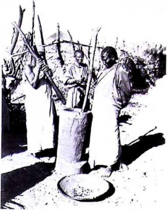 In Imperial Order: The German Aksum Expedition 1906 under Enno Littmann, Volume 3: Ethnographic, church-historical and archaeological-historical investigations — illustration 1, PDF page 243