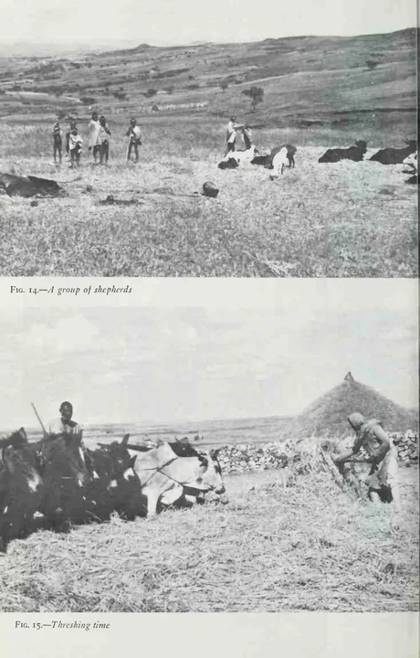 Wax & Gold: Tradition and Innovation in Ethiopian Culture — illustrated page 136