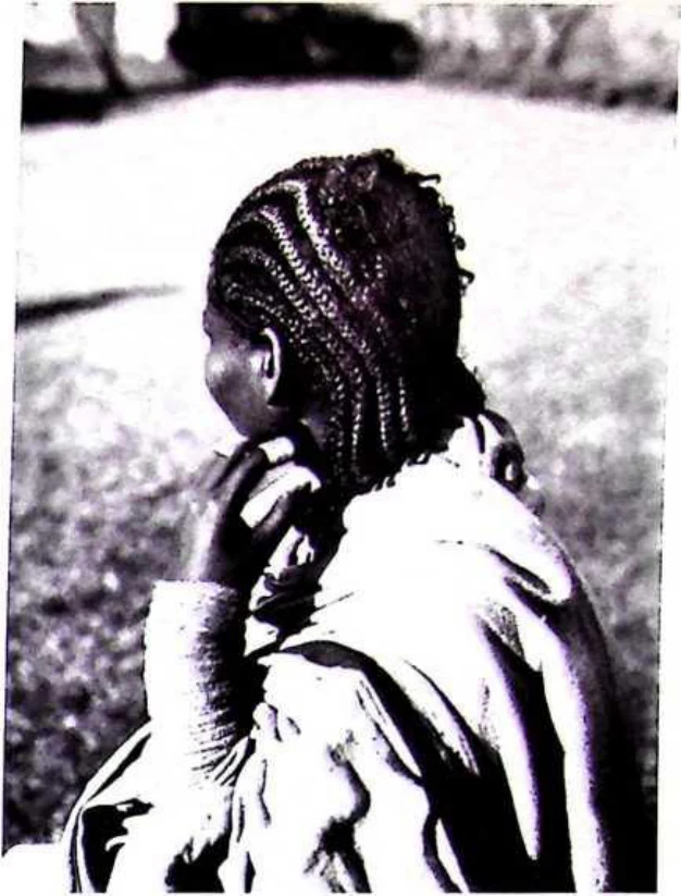 In Imperial Order: The German Aksum Expedition 1906 under Enno Littmann, Volume 3: Ethnographic, church-historical and archaeological-historical investigations — illustration 2, PDF page 221