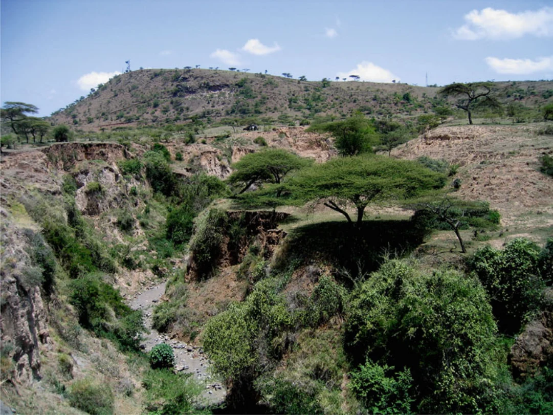 Landscapes and Landforms of Ethiopia — illustration 2, PDF page 14