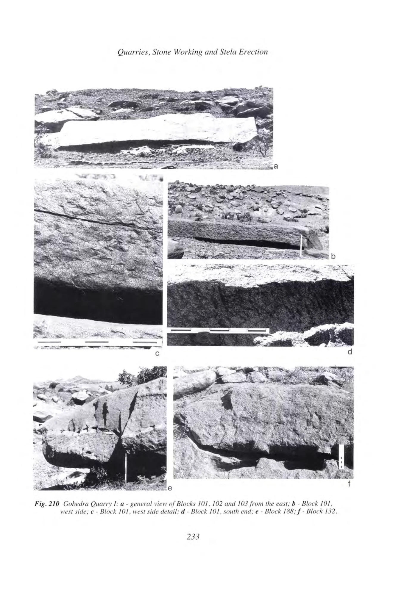 Archaeology at Aksum, Ethiopia, 1993-7, Volume I — illustrated page 252