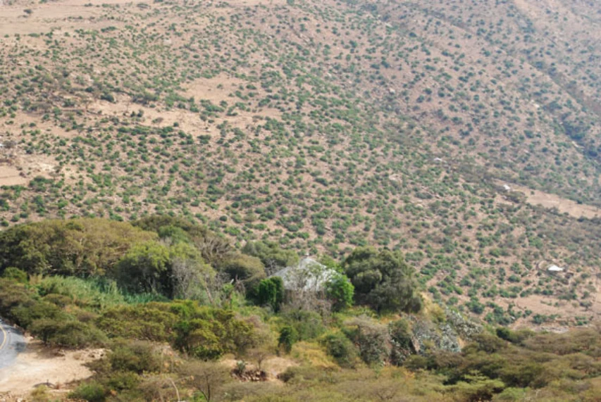 Geo-trekking in Ethiopia's Tropical Mountains: The Dogu'a Tembien District — illustration 1, PDF page 387