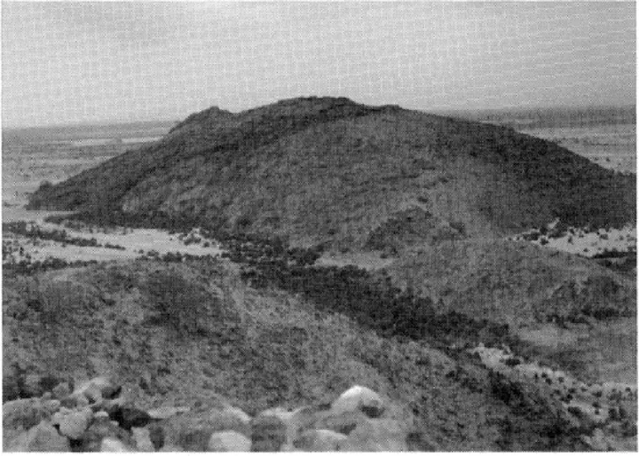 The Ancient Red Sea Port of Adulis, Eritrea: Results of the Eritro-British Expedition, 2004-5 — illustration 1, PDF page 66