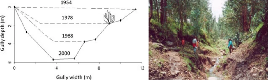 Geo-trekking in Ethiopia's Tropical Mountains: The Dogu'a Tembien District — illustration 1, PDF page 346