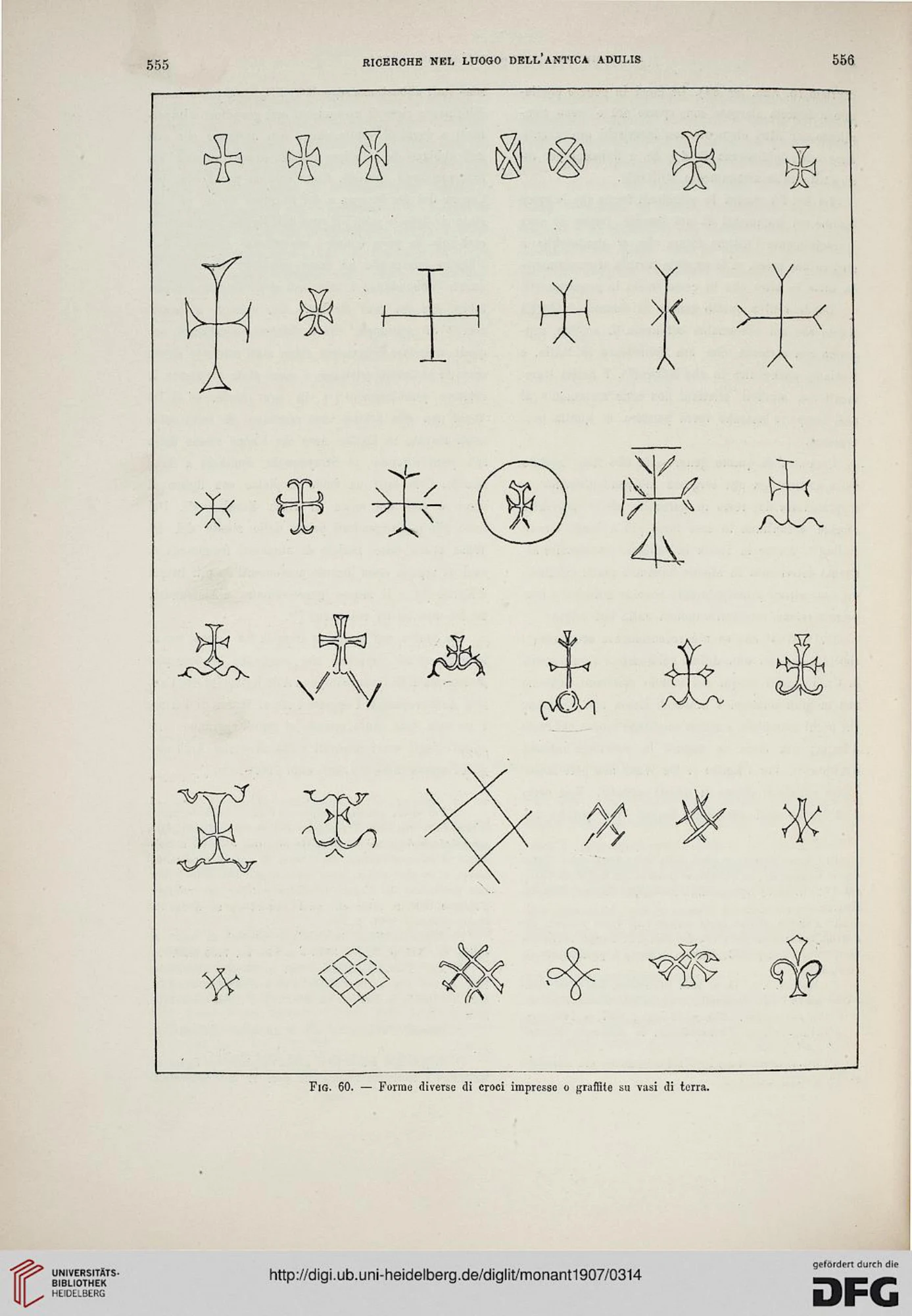 Ricerche nel luogo dell'antica Adulis (Colonia Eritrea) — illustrated page 61