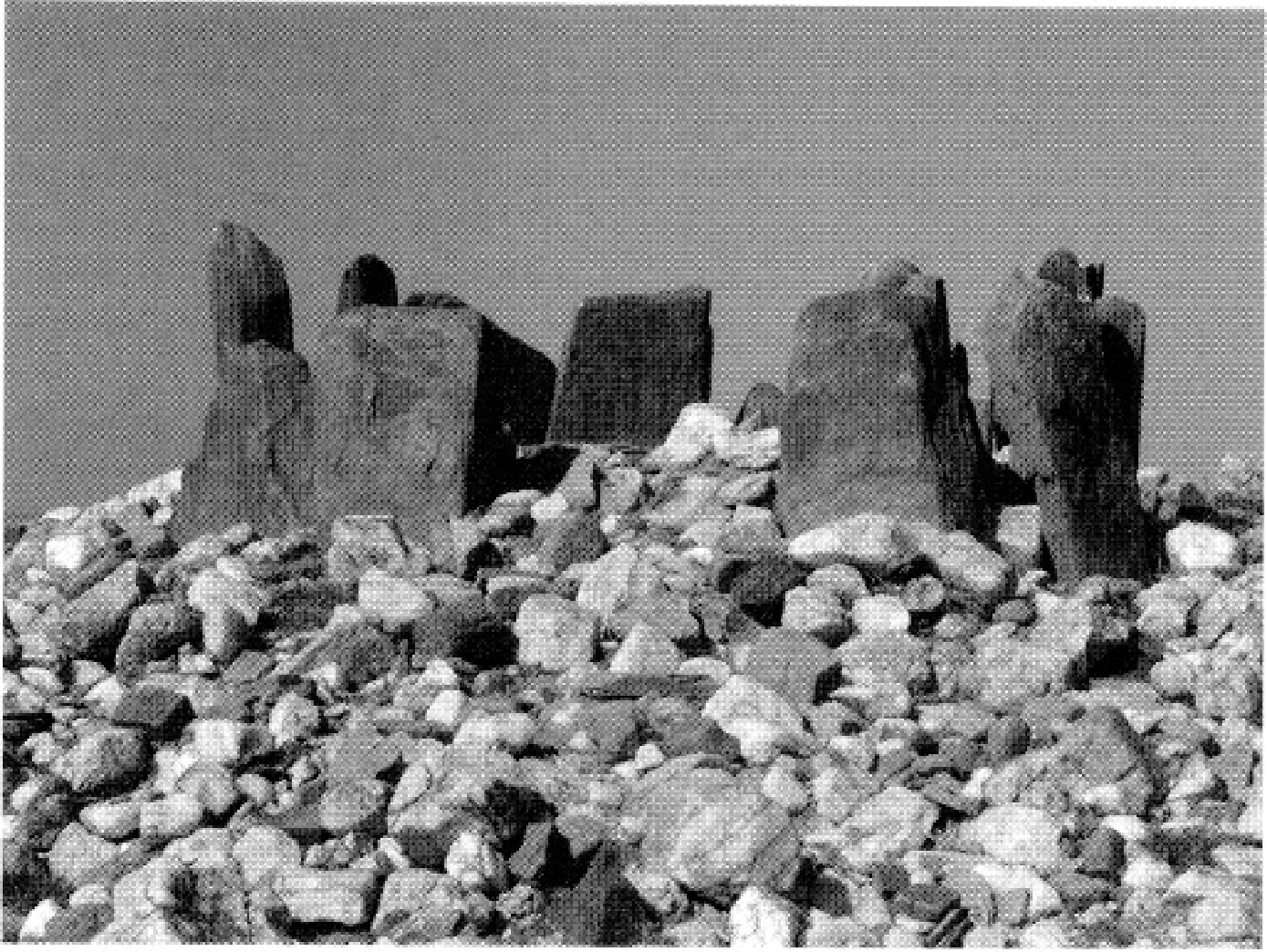 The Ancient Red Sea Port of Adulis, Eritrea: Results of the Eritro-British Expedition, 2004-5 — illustration 1, PDF page 117