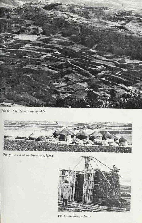 Wax & Gold: Tradition and Innovation in Ethiopian Culture — illustrated page 133