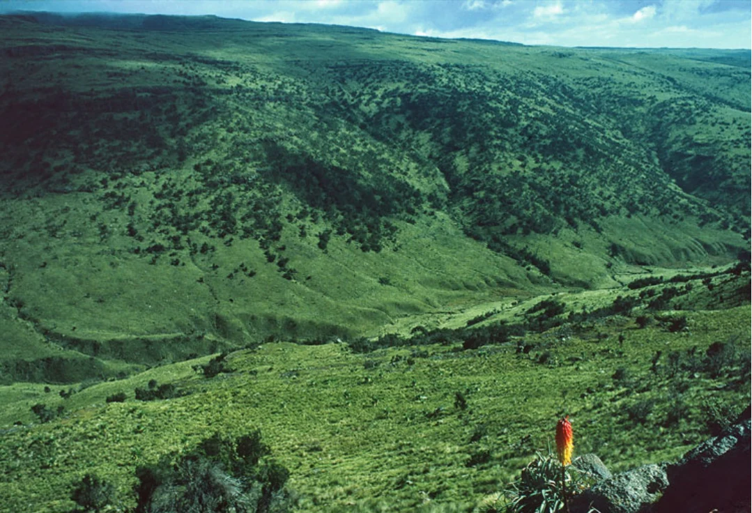 Landscapes and Landforms of Ethiopia — illustration 1, PDF page 148