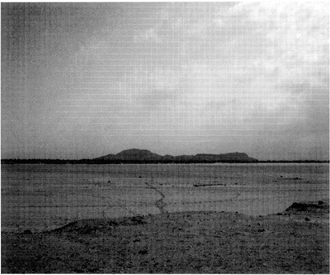 The Ancient Red Sea Port of Adulis, Eritrea: Results of the Eritro-British Expedition, 2004-5 — illustration 1, PDF page 65