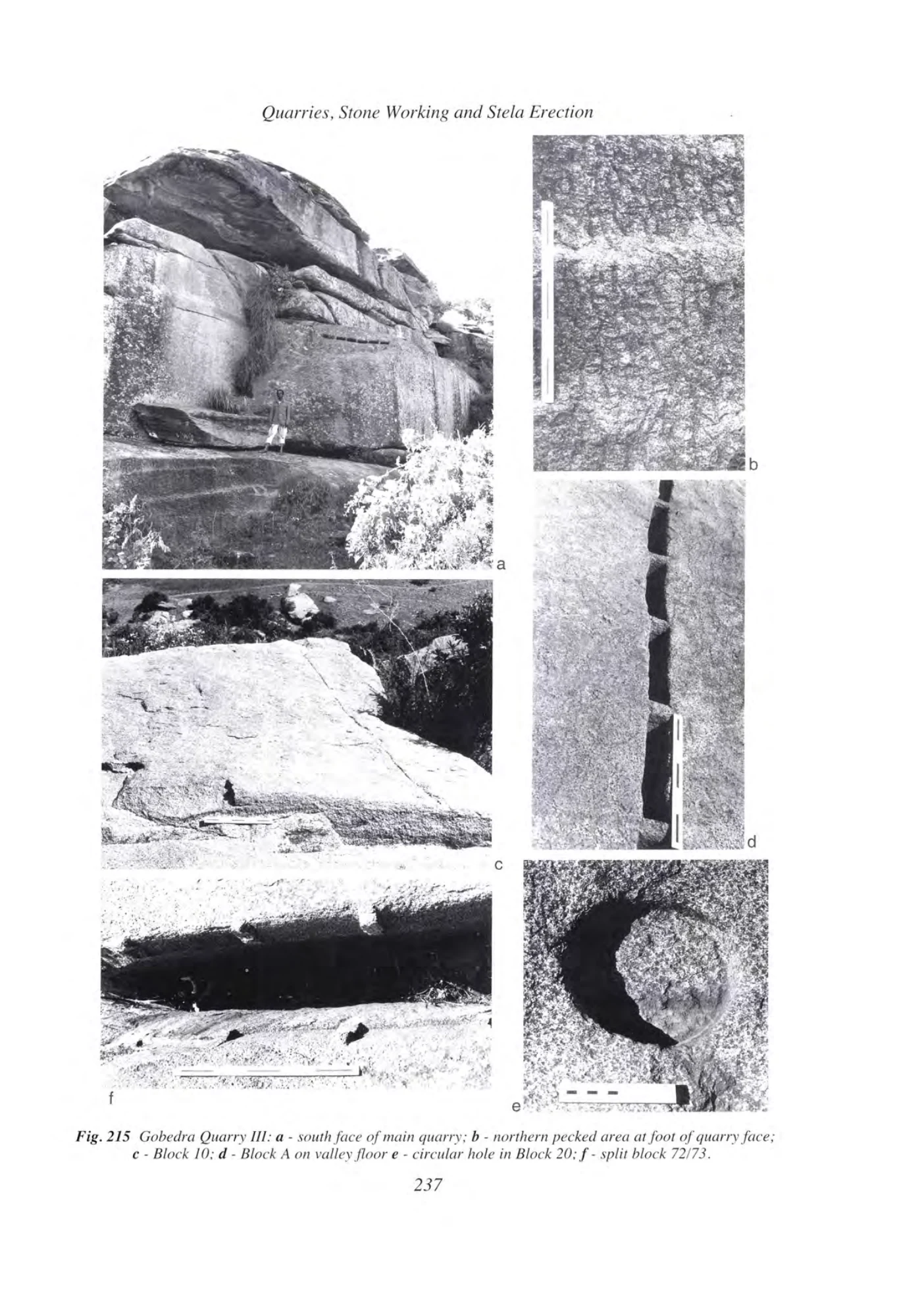 Archaeology at Aksum, Ethiopia, 1993-7, Volume I — illustrated page 256