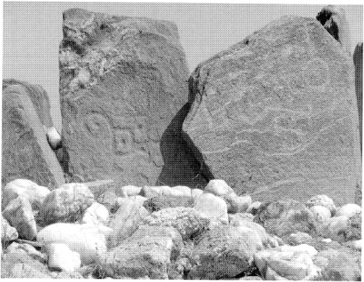 The Ancient Red Sea Port of Adulis, Eritrea: Results of the Eritro-British Expedition, 2004-5 — illustration 1, PDF page 119