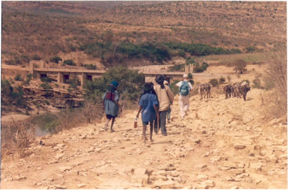 Geo-trekking in Ethiopia's Tropical Mountains: The Dogu'a Tembien District — illustration 1, PDF page 666
