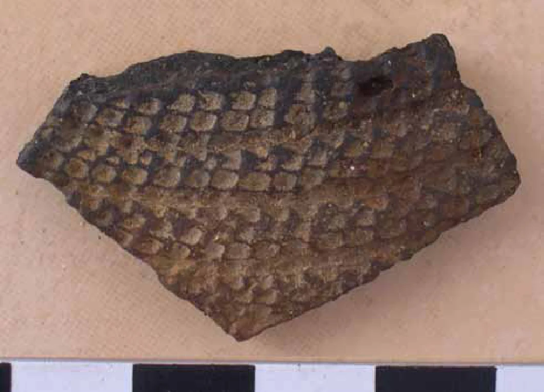 Egypt’s trade with Punt: New discoveries on the Red Sea coast — illustration 1, PDF page 57