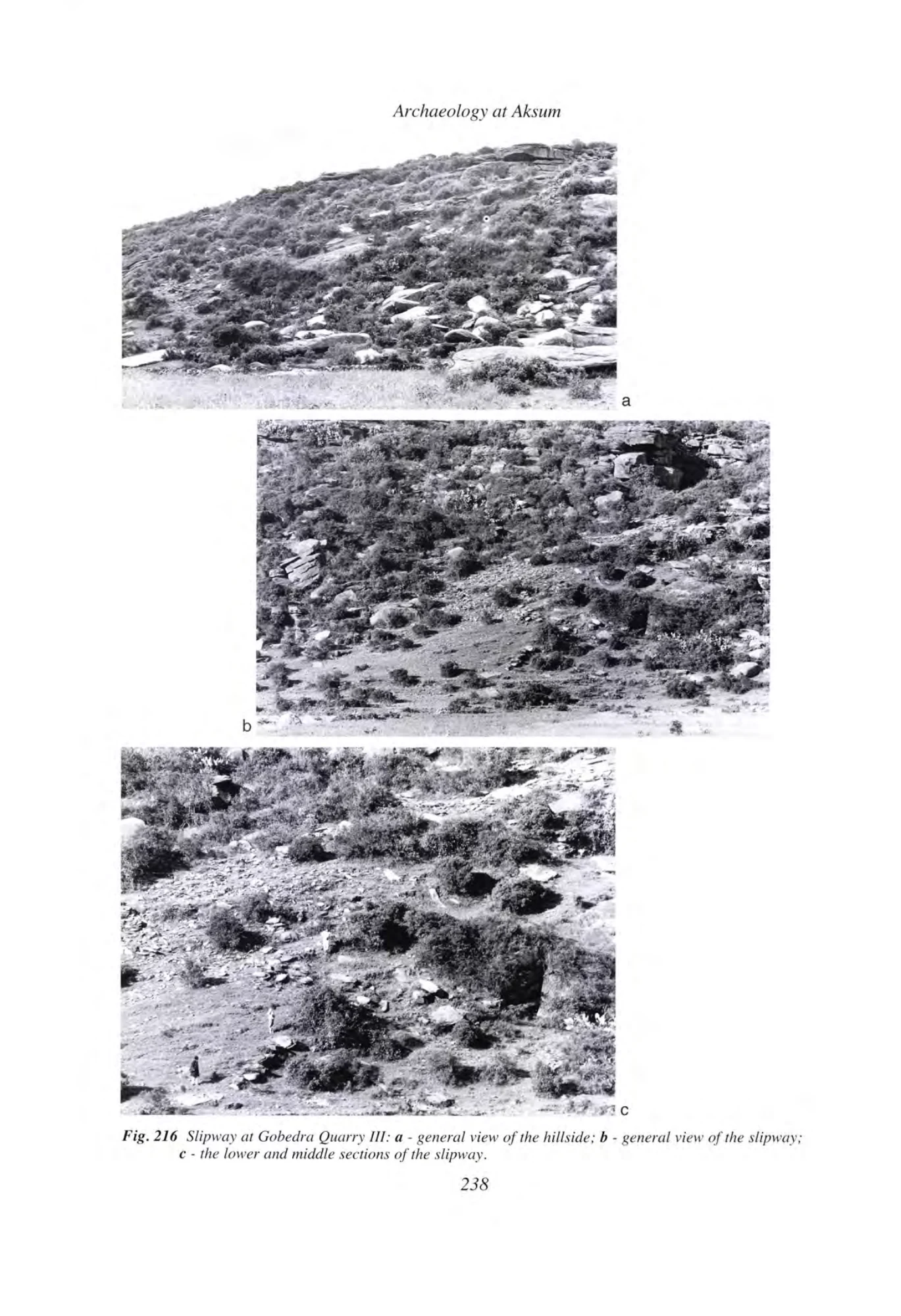 Archaeology at Aksum, Ethiopia, 1993-7, Volume I — illustrated page 257