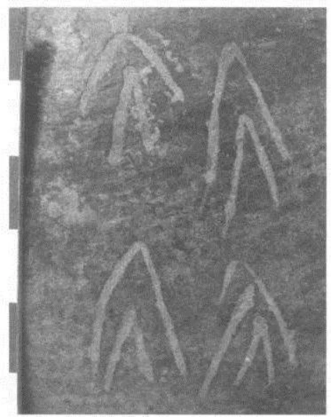 La culture Shay d’Éthiopie (Xe–XIVe siècles): Recherches archéologiques et historiques sur une élite païenne — illustration 2, PDF page 177