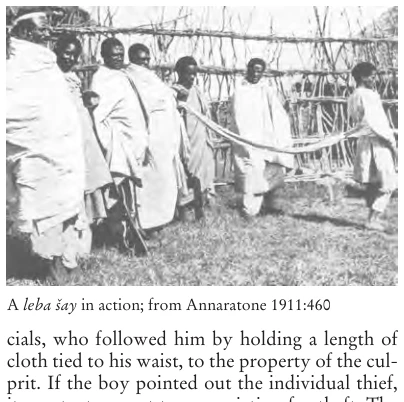 Illustration, Encyclopaedia Aethiopica volume 3, PDF page 560
