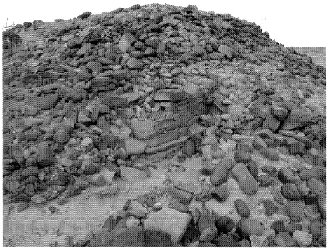 The Ancient Red Sea Port of Adulis, Eritrea: Results of the Eritro-British Expedition, 2004-5 — illustration 1, PDF page 126