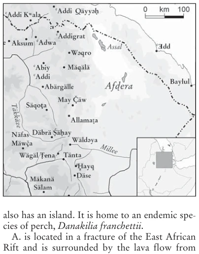 Illustration, Encyclopaedia Aethiopica volume 5, PDF page 255