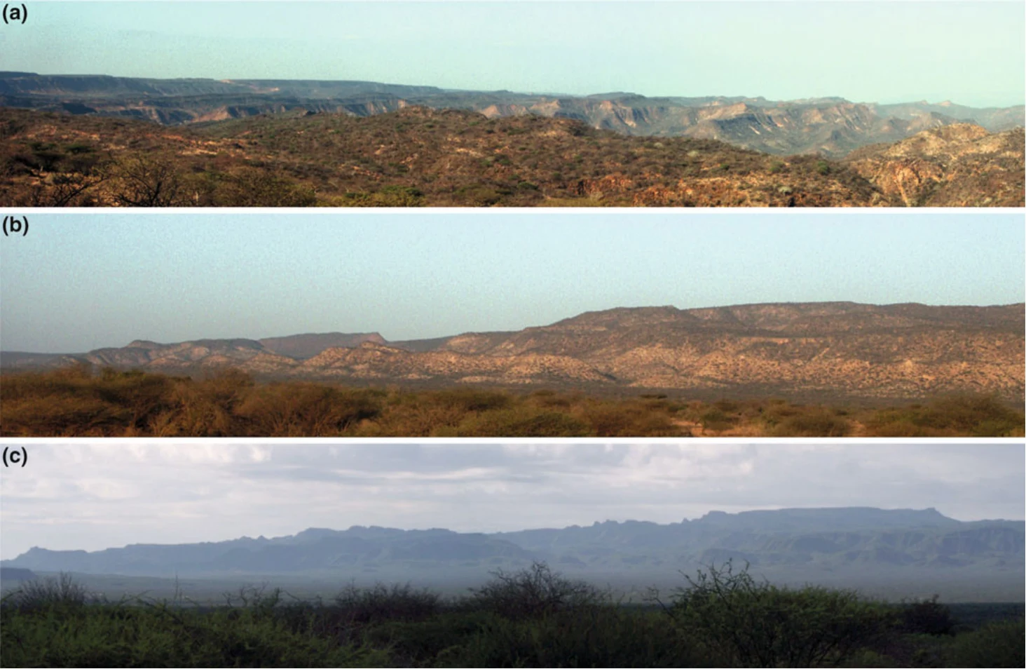 Landscapes and Landforms of Ethiopia — illustration 1, PDF page 336