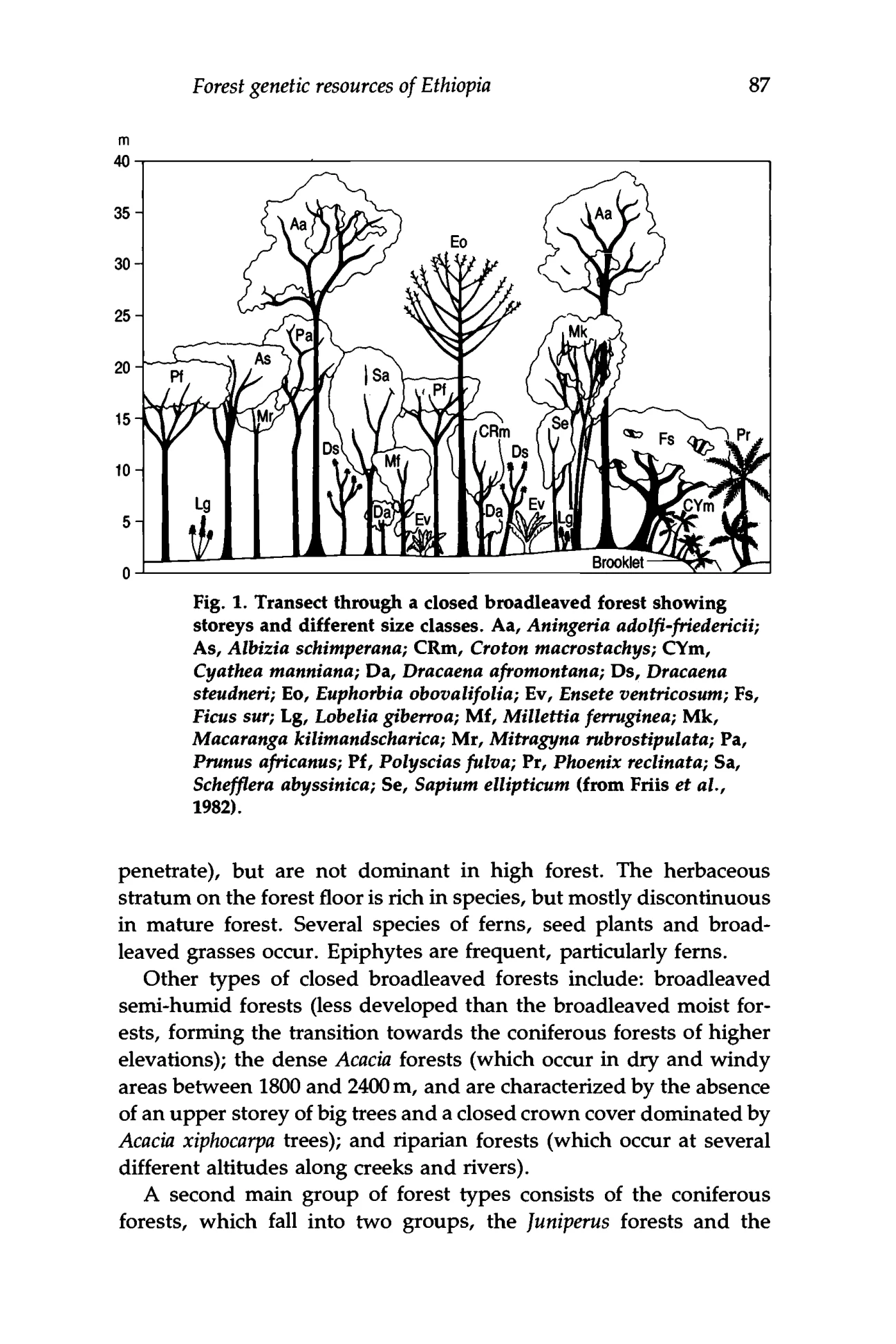 Plant genetic resources of Ethiopia — illustrated page 102