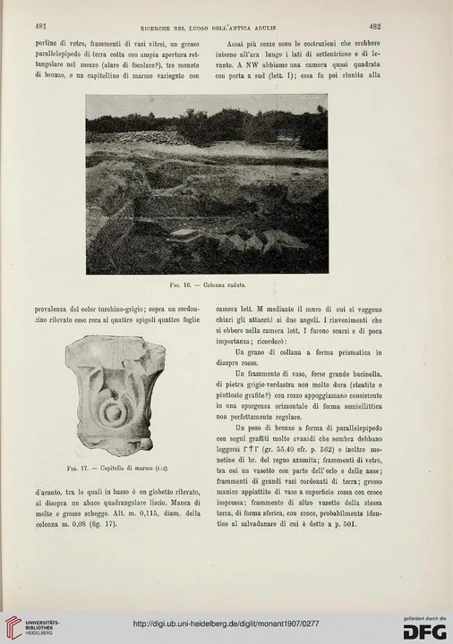 Ricerche nel luogo dell'antica Adulis (Colonia Eritrea) — illustrated page 24